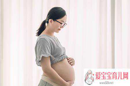 广州供卵助孕试管，小狐狸的故事